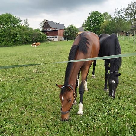 Glamping-Paradies Am Dengler Hof Hohenberg an der Eger Exteriör bild